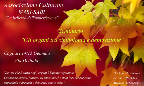 Seminario depurazione organi Cagliari 2017